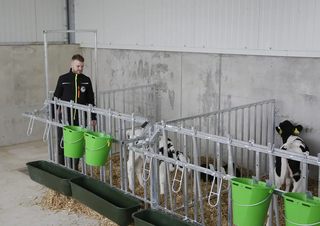 Fanggitter mit 5 Fressplätzen für modulare Zaunaufstallung