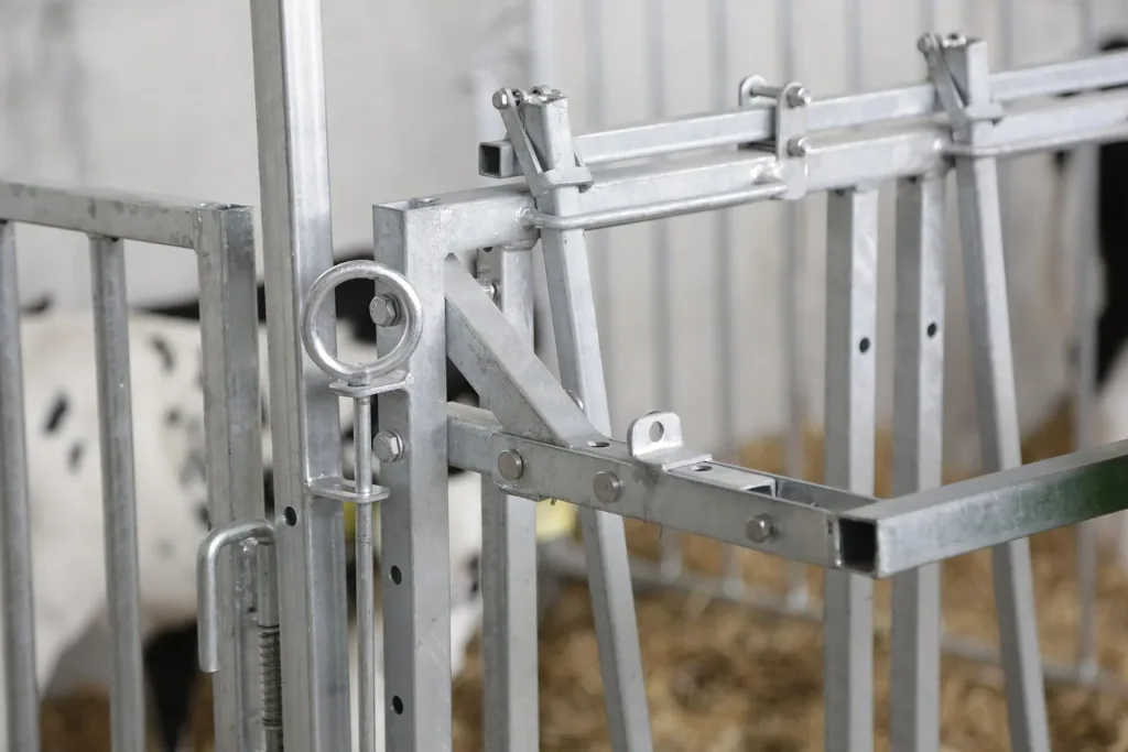Fanggitter mit 5 Fressplätzen für modulare Zaunaufstallung