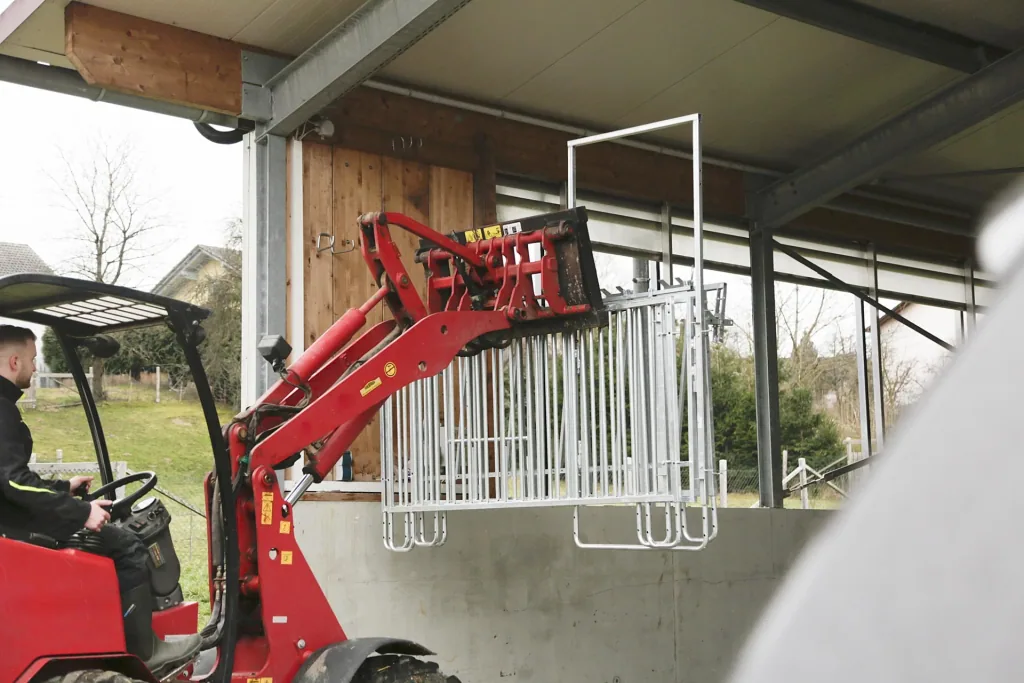 Fanggitter mit 5 Fressplätzen für modulare Zaunaufstallung