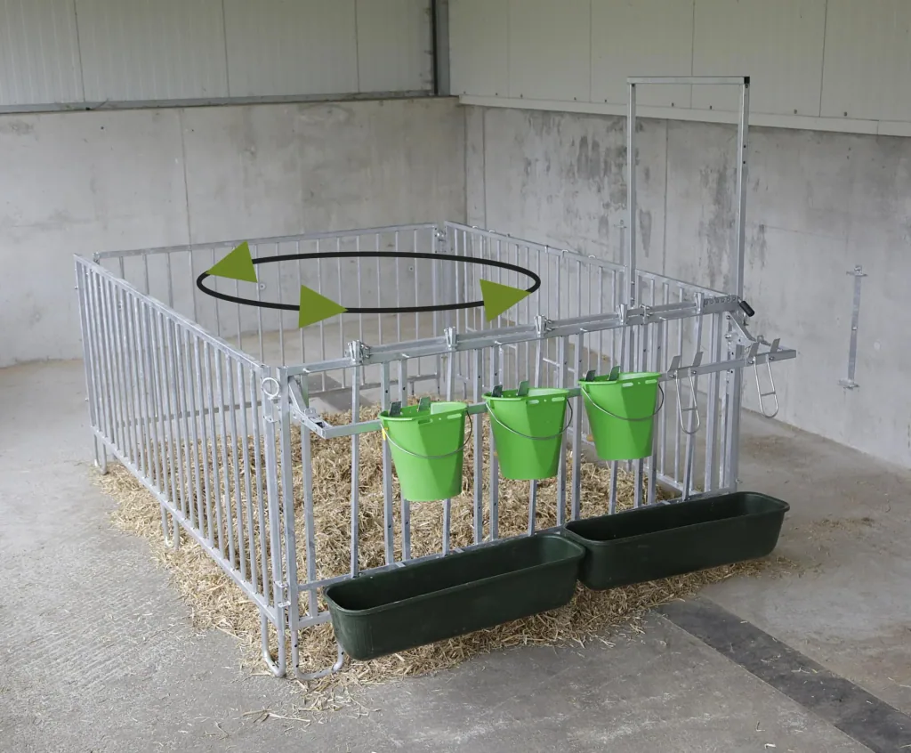 Fanggitter mit 5 Fressplätzen für modulare Zaunaufstallung