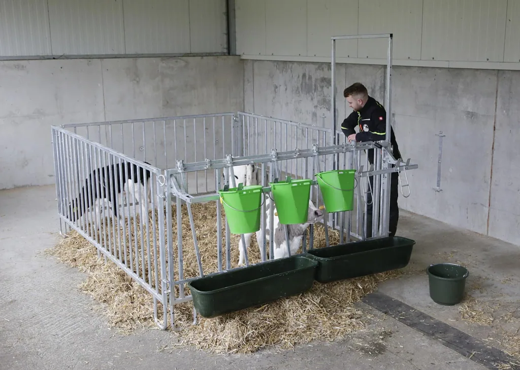 Fanggitter mit 5 Fressplätzen für modulare Zaunaufstallung