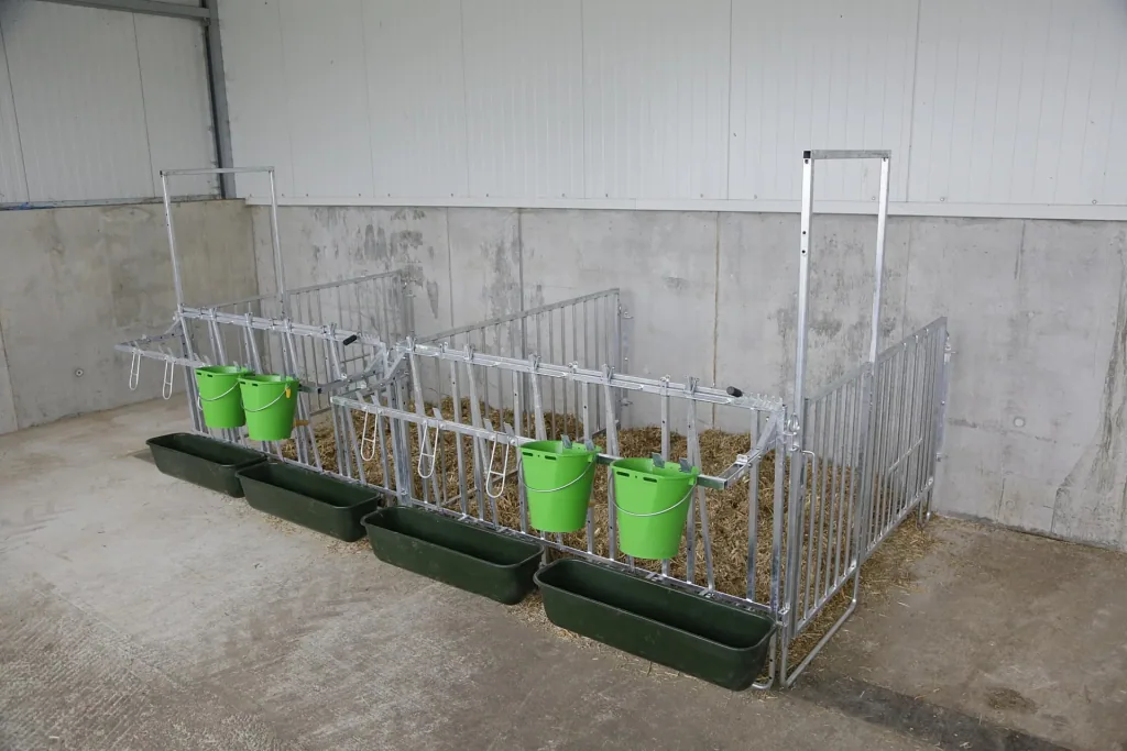 Fanggitter mit 5 Fressplätzen für modulare Zaunaufstallung