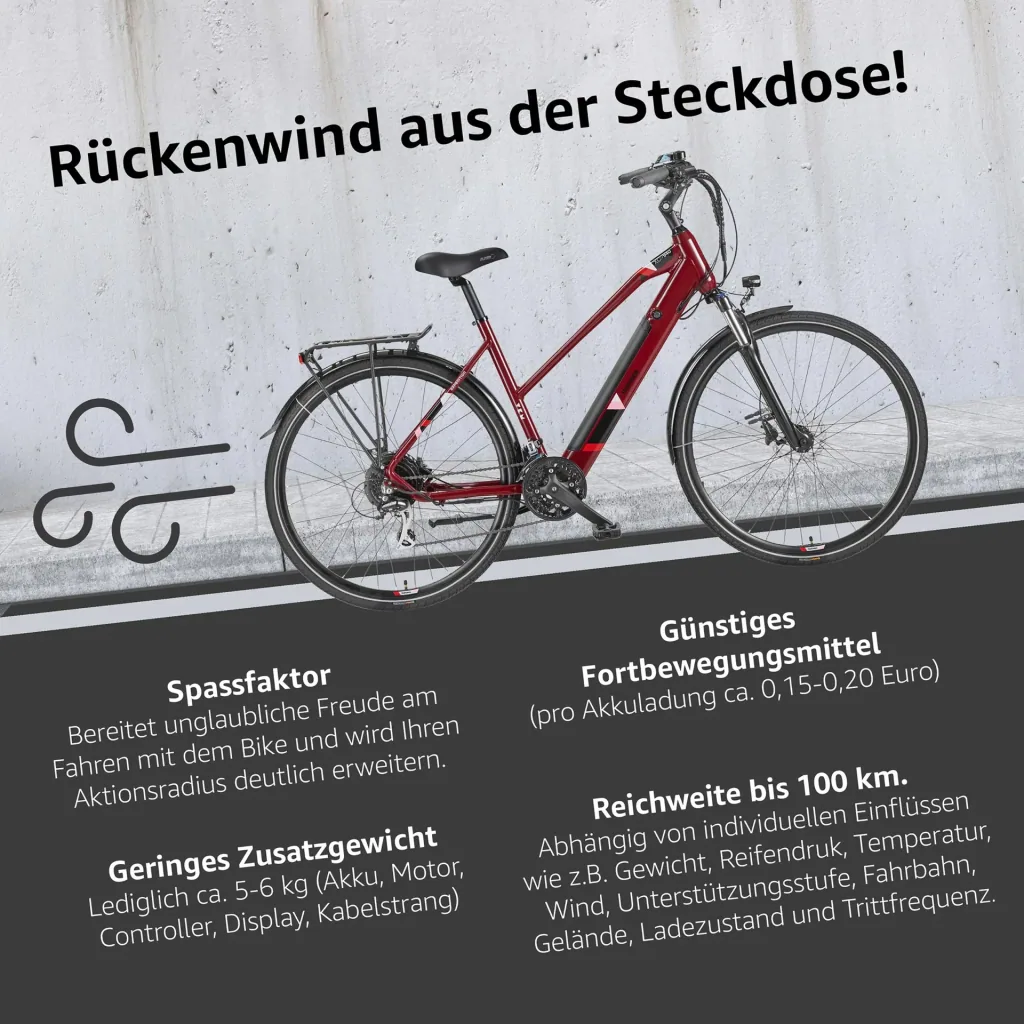 Damen Alu Trekking E-Bike, 28 Zoll, Rahmenhöhe 50 cm, 24-Gang Kettenschaltung, weinrot, XC940 Expedition,