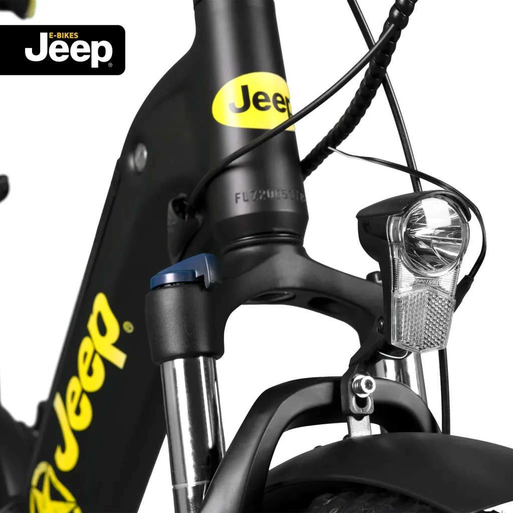 Unisex Fold E-Bike , 20 Zoll, 7-Gang Kettenschaltung, black, Falt-E-Bike FR 7000