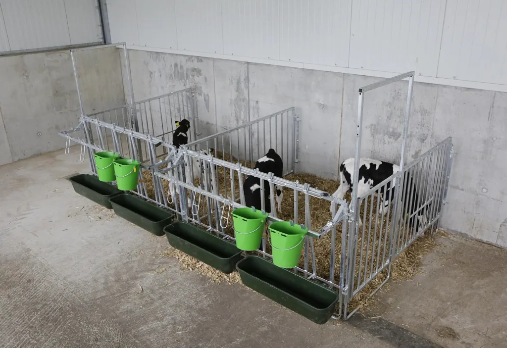 Modulare Zaunaufstallung, Einzelset für 3er Kälbergruppe