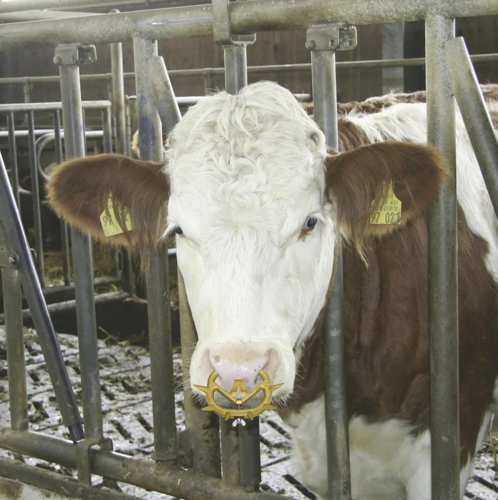 Viehsaugentwöhner Müller 2010, mittel