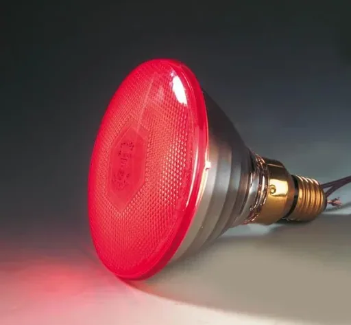 Infrarot Sparlampe 100 W - für Wärmestrahlgeräte