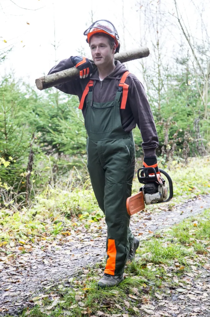 Motorsägenhandschuh Forester Gr. 10/XL