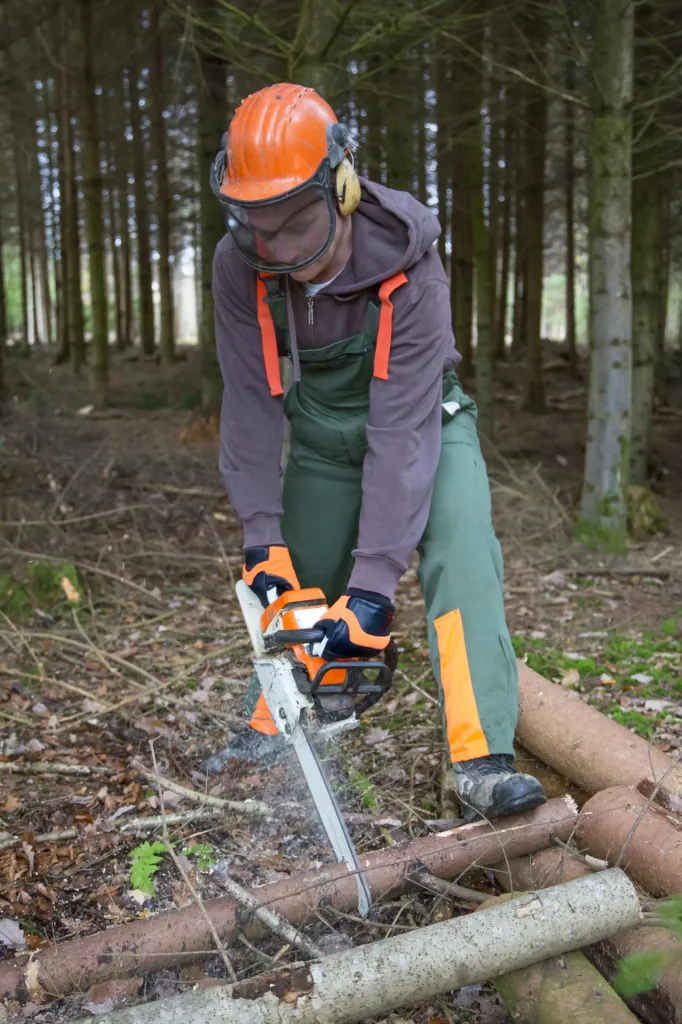 Motorsägenhandschuh Forester Gr. 10/XL