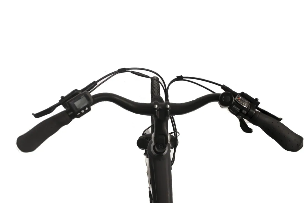 Herren Trekking E-Bike, 28 Zoll, Rahmenhöhe 50 cm 9-Gang Kettenschaltung, schwarz, Kempten
