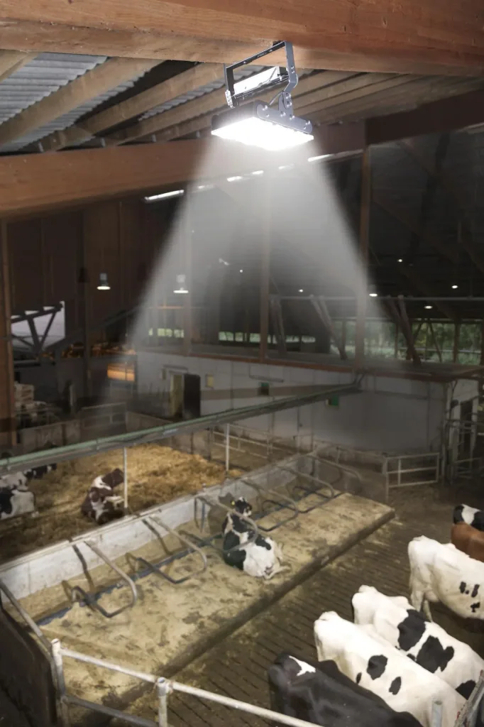 150 W Multi LED Stall Leuchte, 3 Module 19.500 Lumen, IP65 / D- Kennzeichen