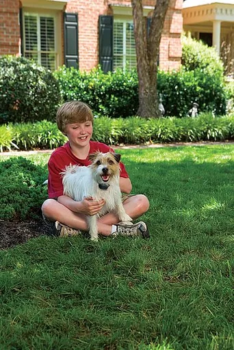Deluxe Antibellhalsband Spray kleine Hunde