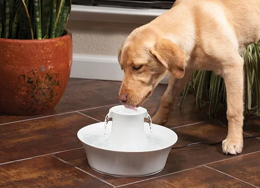 PetSafe Trinkbrunnen Avalon 2 l