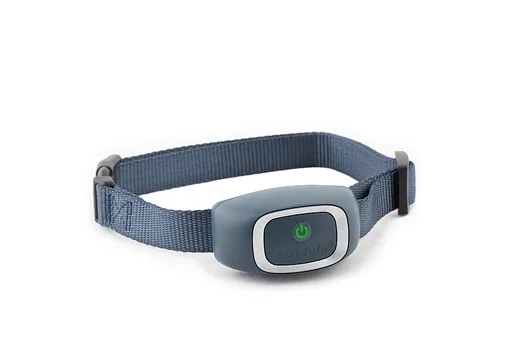 Antibell Halsband für Hunde