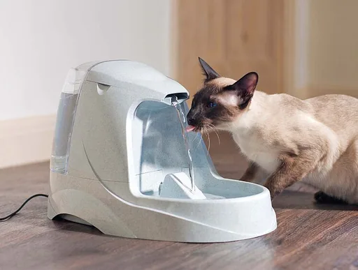 PetSafe Haustierbrunnen Drinkwell® Platin