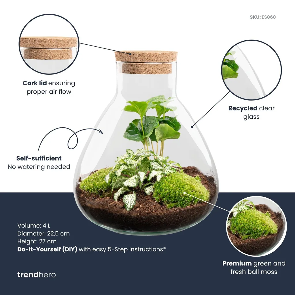 DIY Terrarium – Sammie – Höhe ca. 27 cm