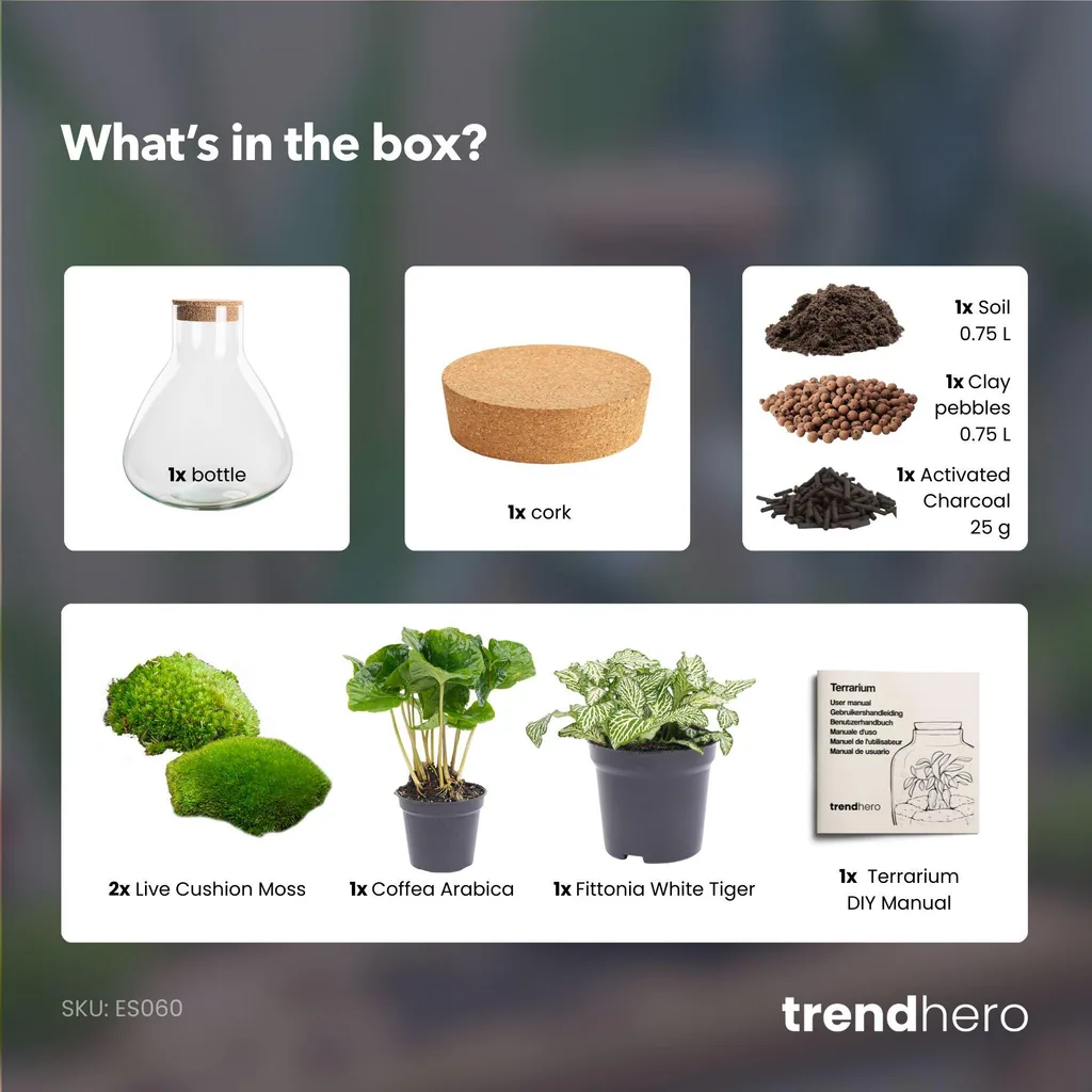 DIY Terrarium – Sammie – Höhe ca. 27 cm