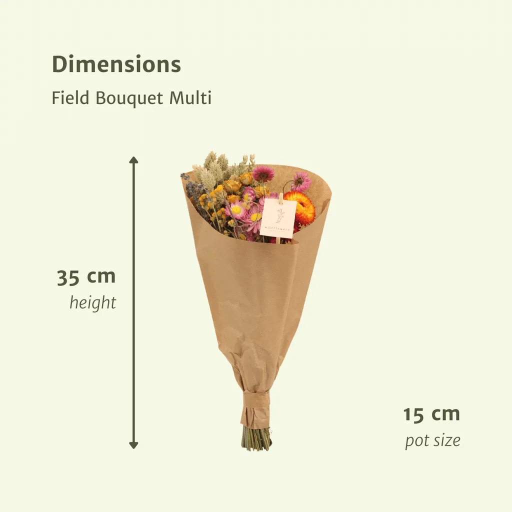 Trockenblumen Feldblumenstrauß Multi - Topf-Ø 15 cm - Höhe ca. 35 cm