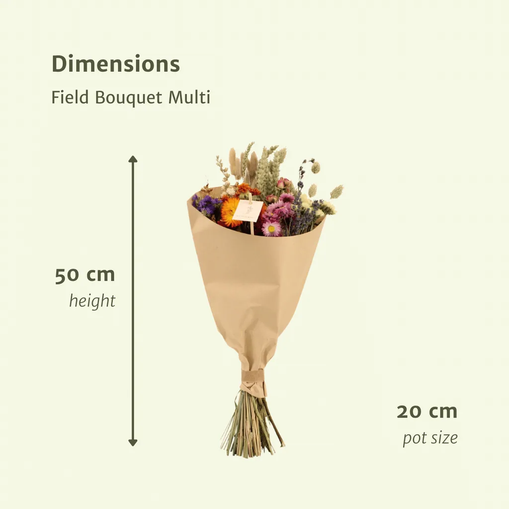 Trockenblumen Feldblumenstrauß Multi - Topf-Ø 20 cm - Höhe ca. 50 cm