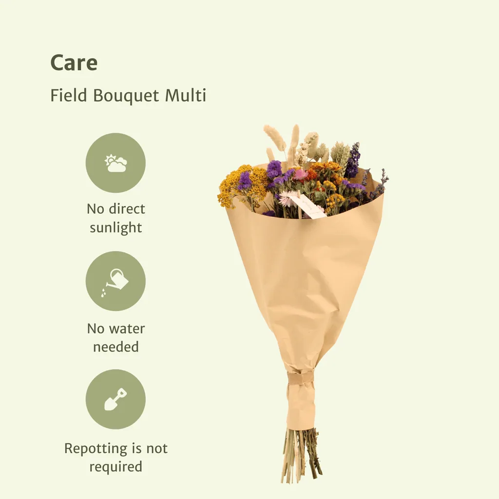 Trockenblumen Feldblumenstrauß Multi - Topf-Ø 25 cm - Höhe ca. 60 cm