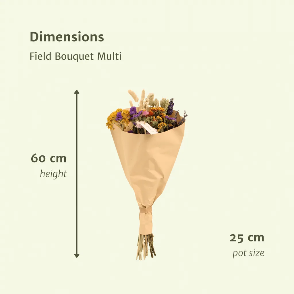Trockenblumen Feldblumenstrauß Multi - Topf-Ø 25 cm - Höhe ca. 60 cm