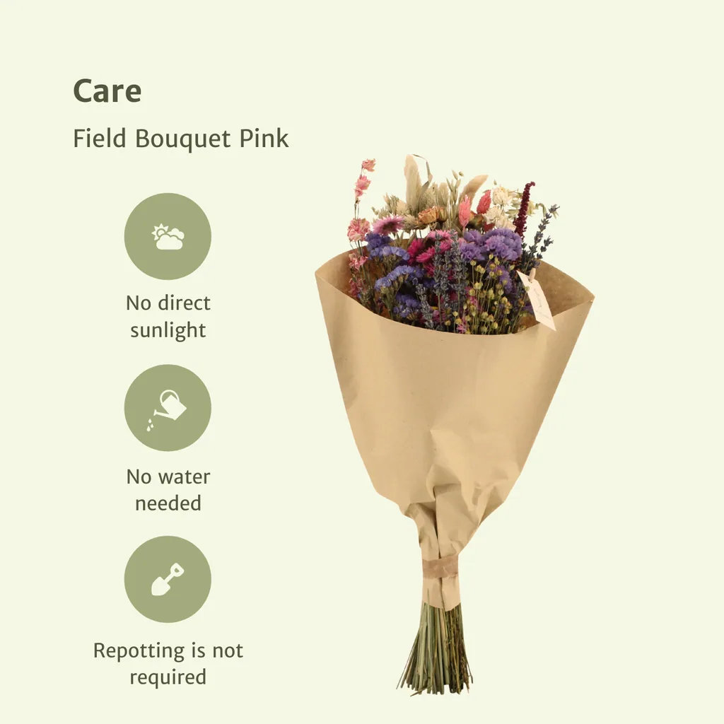 Trockenblumen Feldblumenstrauß Rosa - Topf-Ø 20 cm - Höhe ca. 50 cm