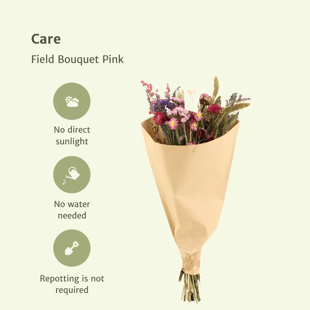 Trockenblumen Feldblumenstrauß Rosa - Topf-Ø 25 cm - Höhe ca. 60 cm