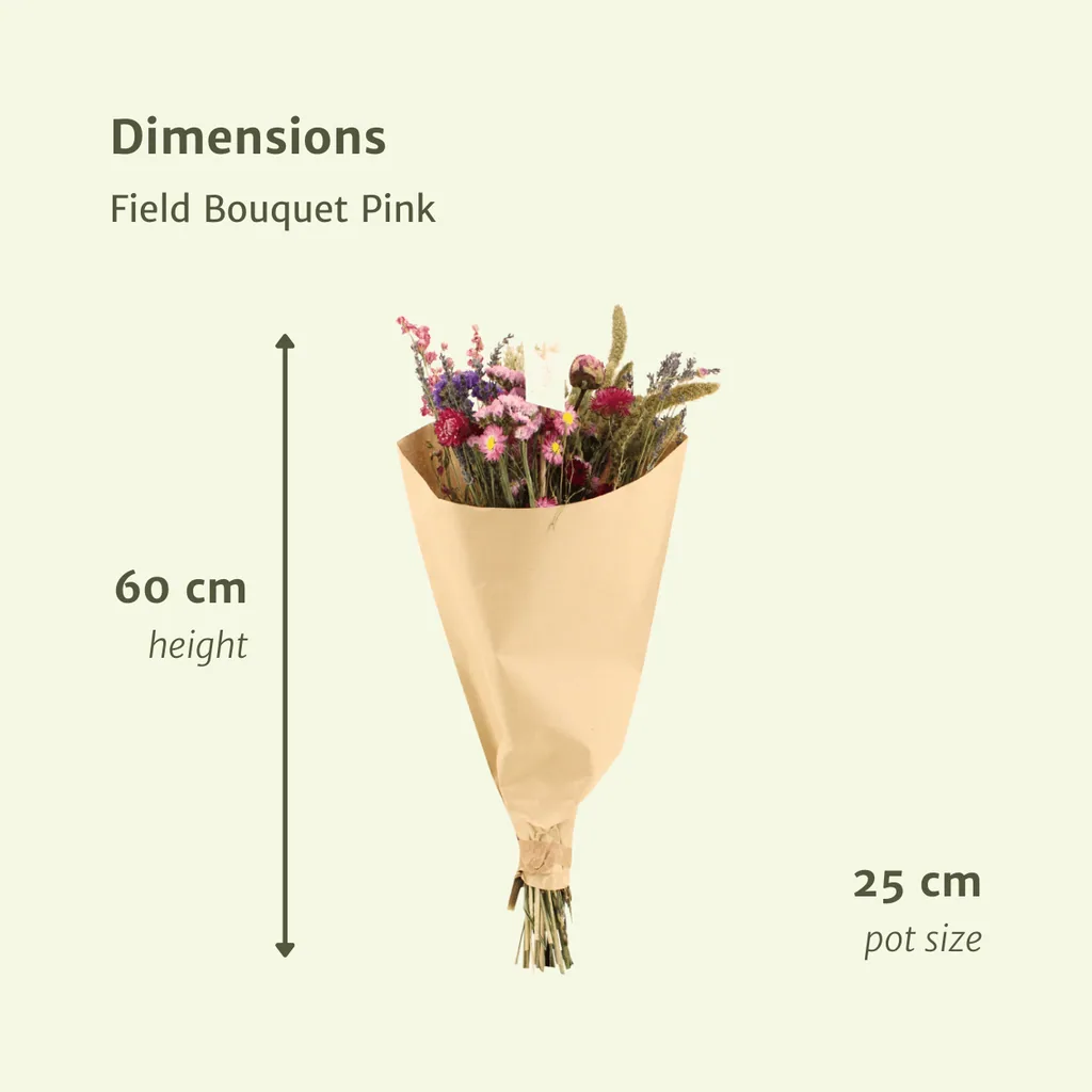 Trockenblumen Feldblumenstrauß Rosa - Topf-Ø 25 cm - Höhe ca. 60 cm