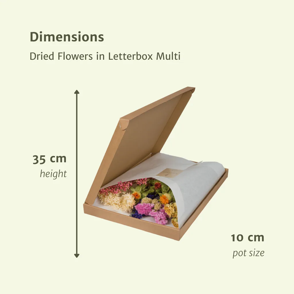 Trockenblumen im Briefkasten  - Multi