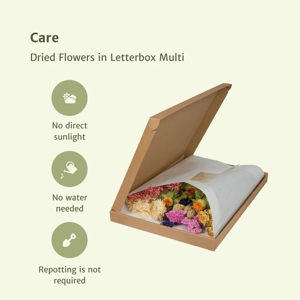 Trockenblumen im Briefkasten  - Multi