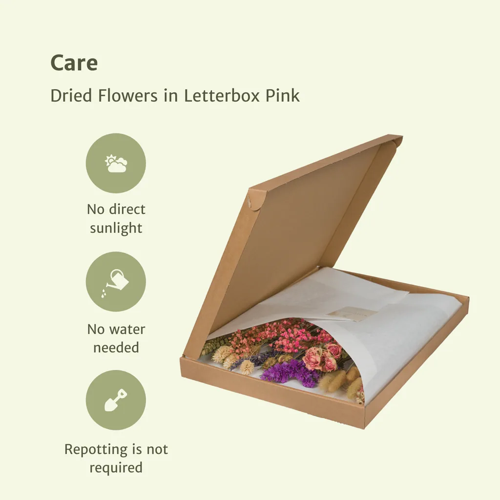Trockenblumen im Briefkasten  - Pink