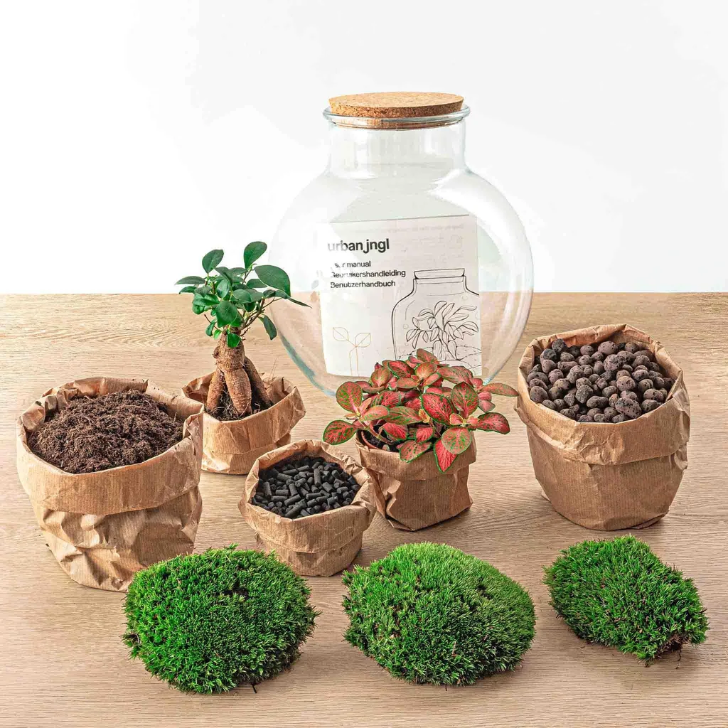 Flaschengarten - Teddy bonsai - Höhe ca. 26,5 cm - Rake + Shovel + Tweezer + Scissors