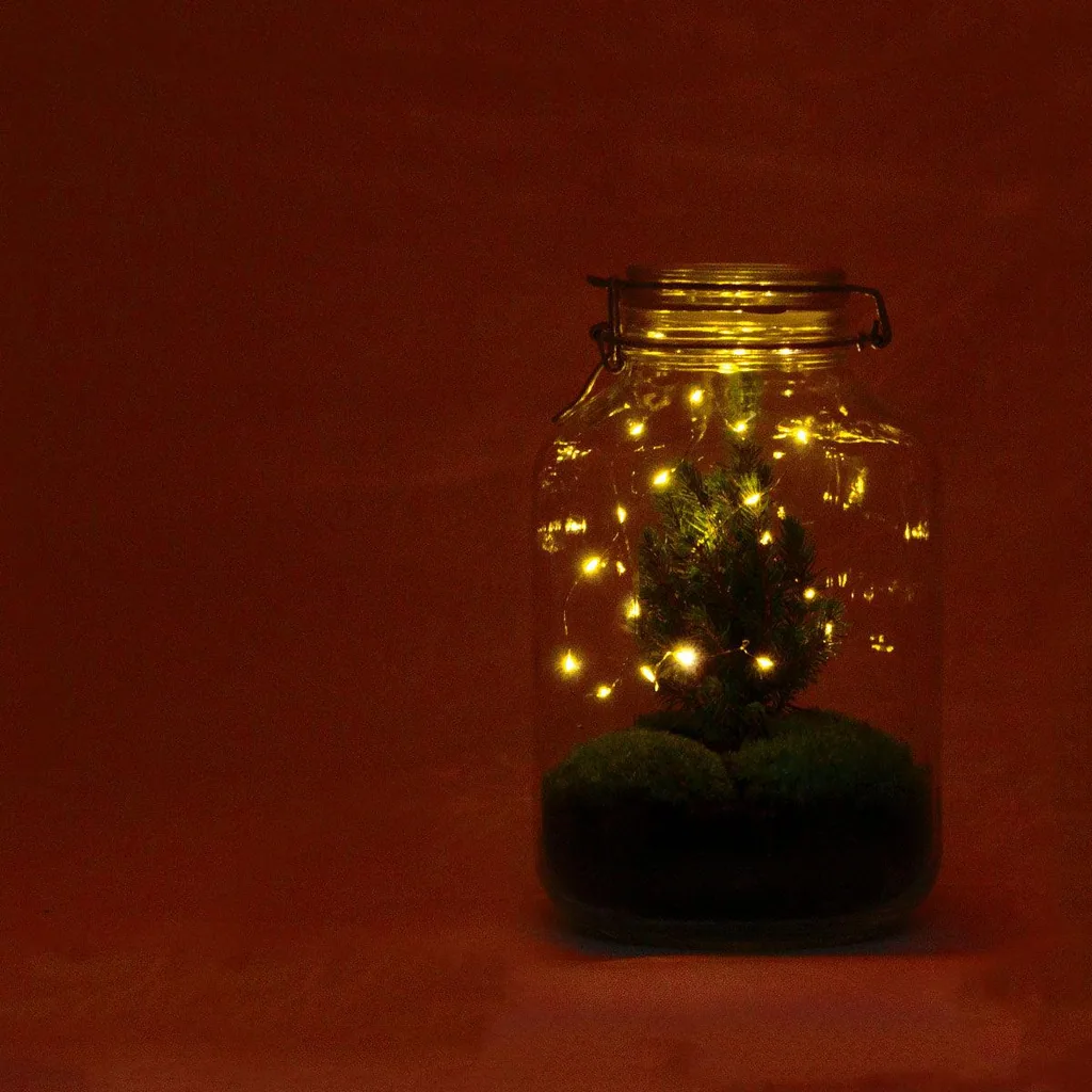 DIY Flaschengarten - Jar Christma - Höhe ca. 28 cm