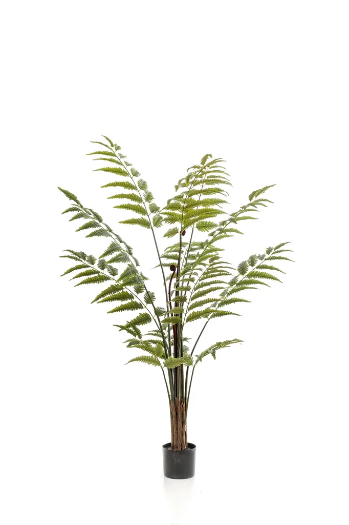 Kunstpflanze - Rumohra Adiantiformis - Lederfarn - 150 cm
