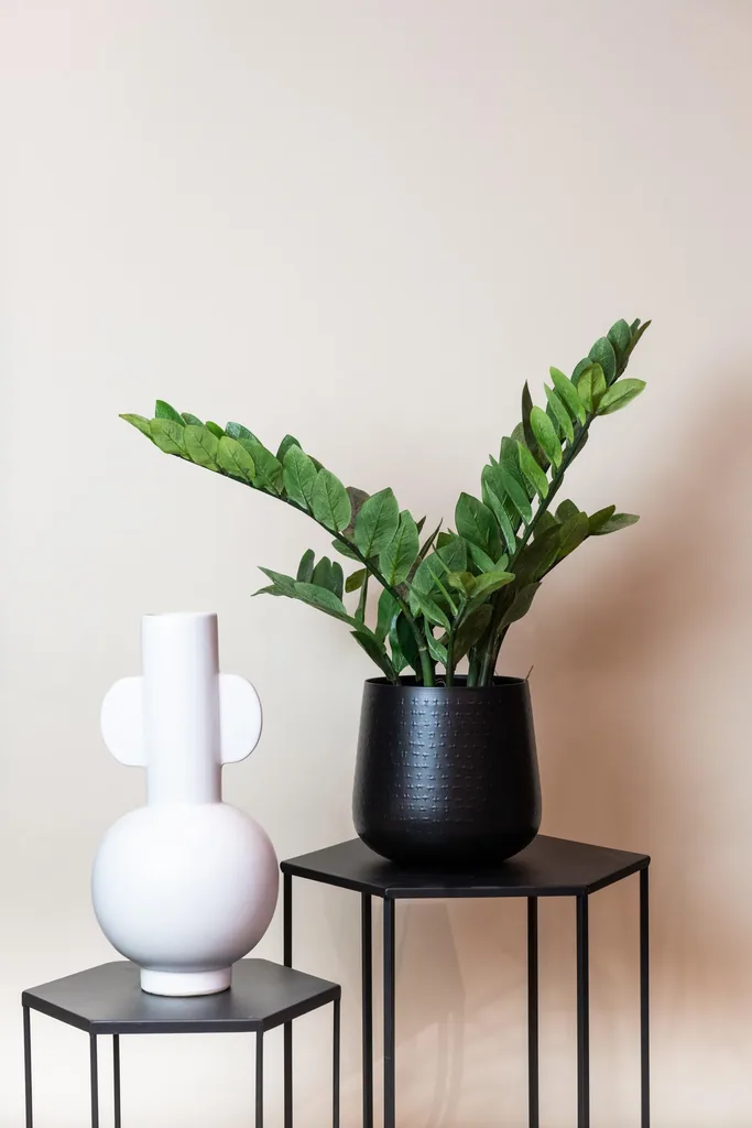 Kunstpflanze - Zamioculcas - Zimerpalme - 70 cm