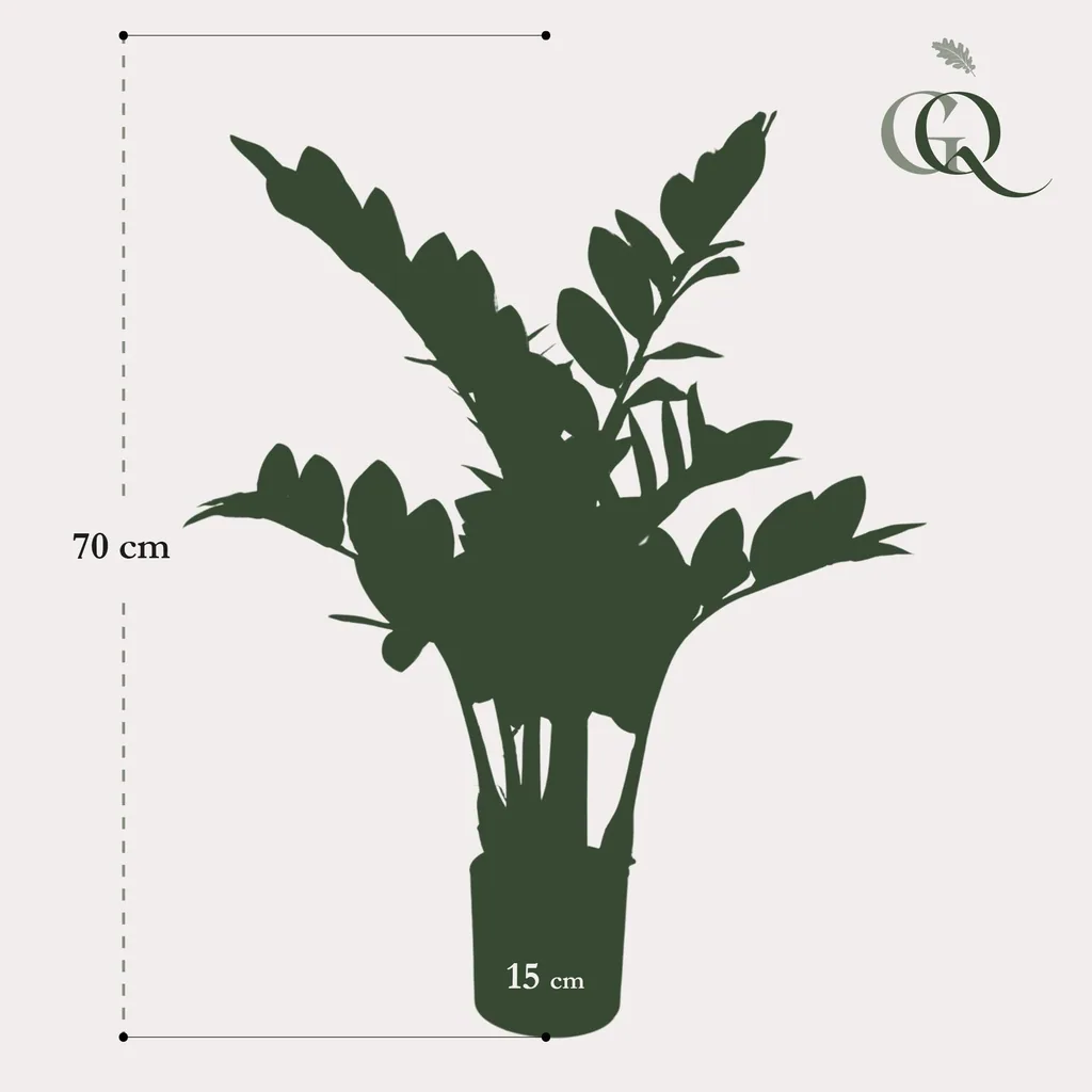 Kunstpflanze - Zamioculcas - Zimerpalme - 70 cm