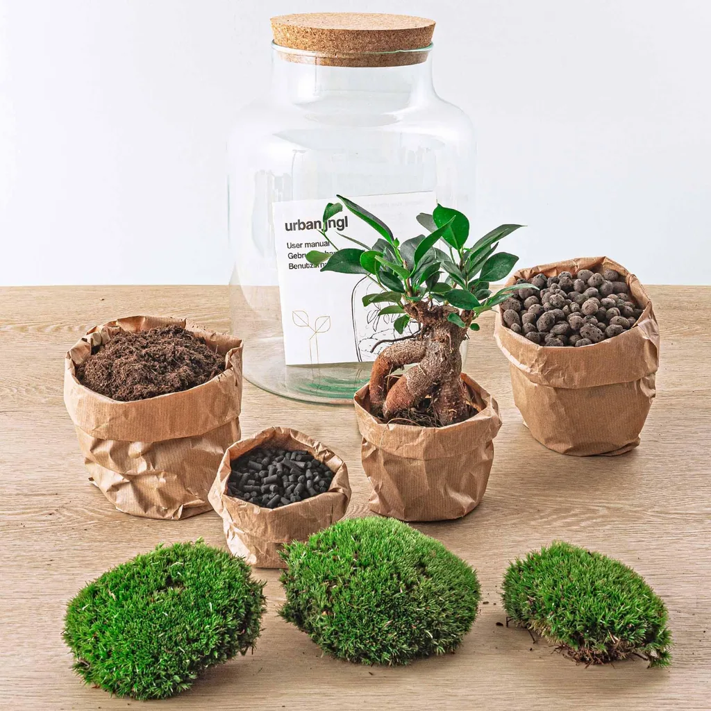 Flaschengarten - Milky mit bonsai - Höhe ca. 30 cm - No tools