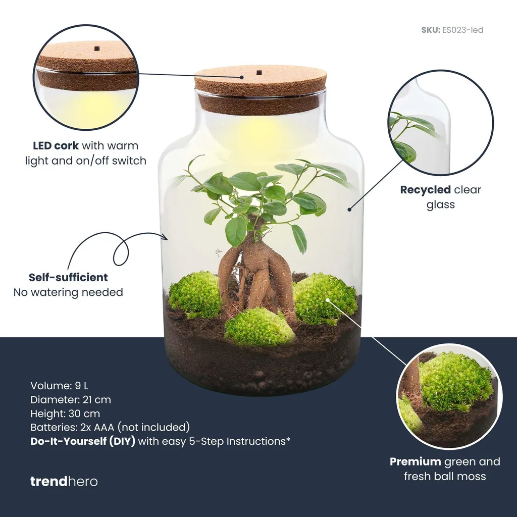 Flaschengarten - Milky mit bonsai - Höhe ca. 30 cm - Rake + Shovel