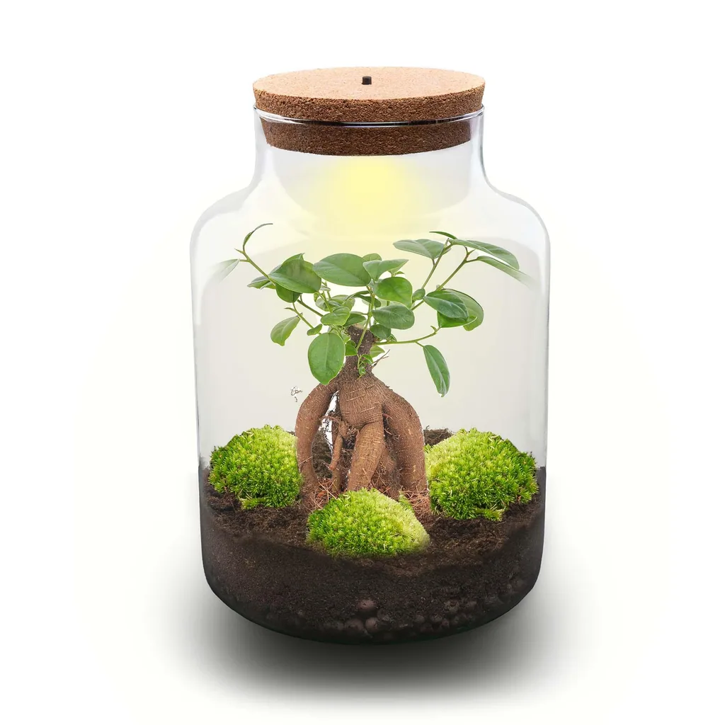 Flaschengarten - Milky mit bonsai - Höhe ca. 30 cm - Rake + Shovel + Tweezer