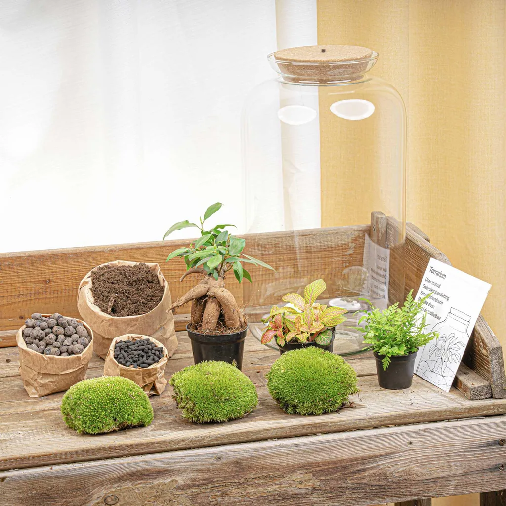 Flaschengarten - Sven Bonsai - Höhe ca. 43 cm - Normal