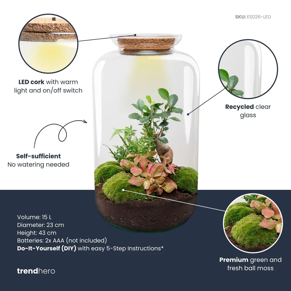 Flaschengarten - Sven Bonsai - Höhe ca. 43 cm - Rake + Shovel + Tweezer