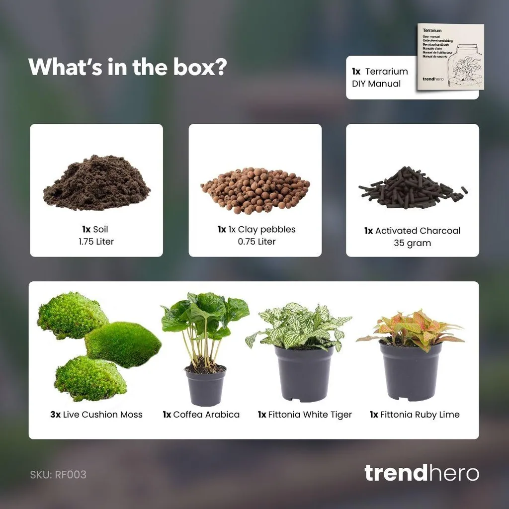 Flaschengarten-Paket Coffea Arabica