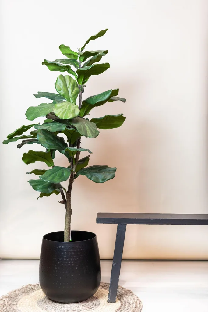 Kunstpflanze - Ficus Lyrata - Tabakspflanze - 120 cm