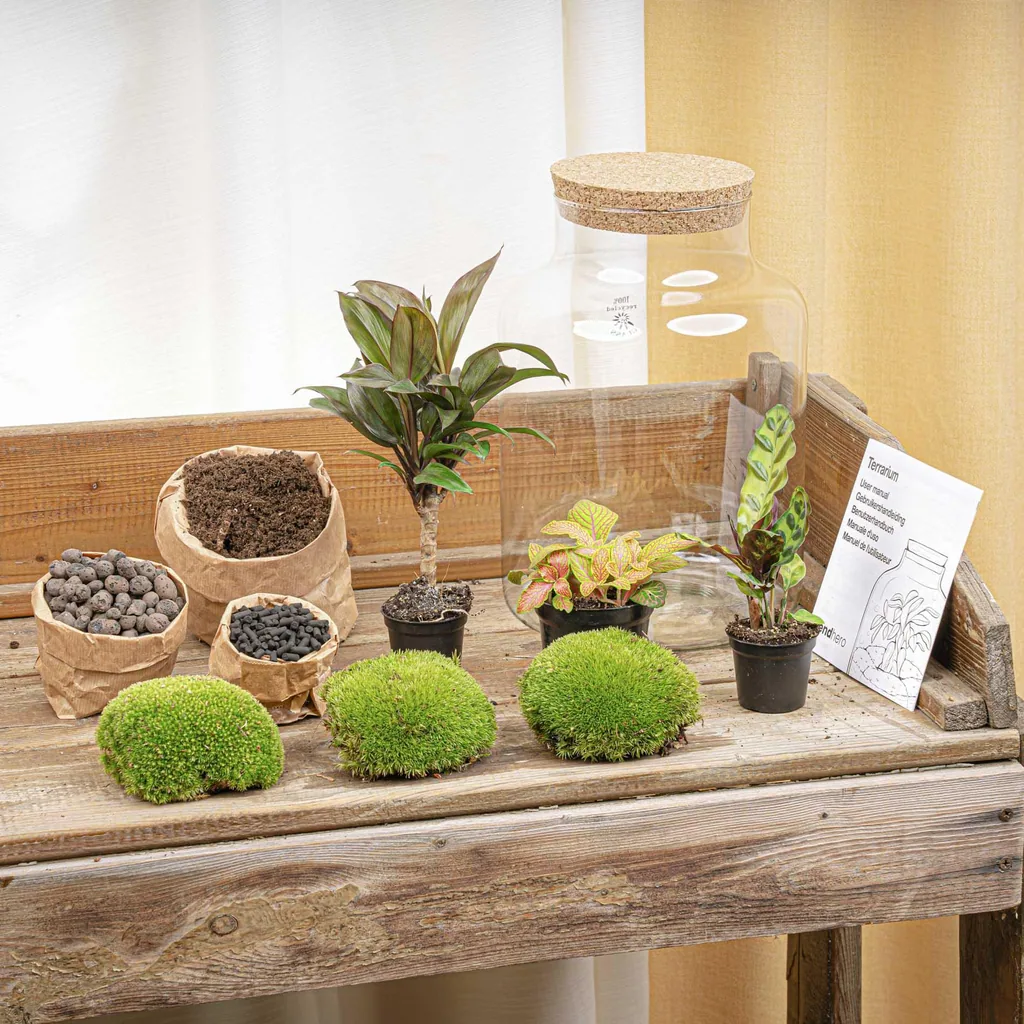 DIY Pflanzen-Terrarium mit Licht - Milky Palm - Ø 21 cm Höhe ca. 30 cm