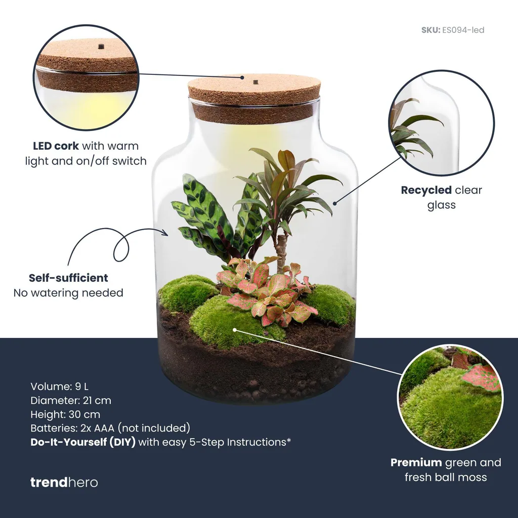DIY Pflanzen-Terrarium mit Licht - Milky Palm - Ø 21 cm Höhe ca. 30 cm