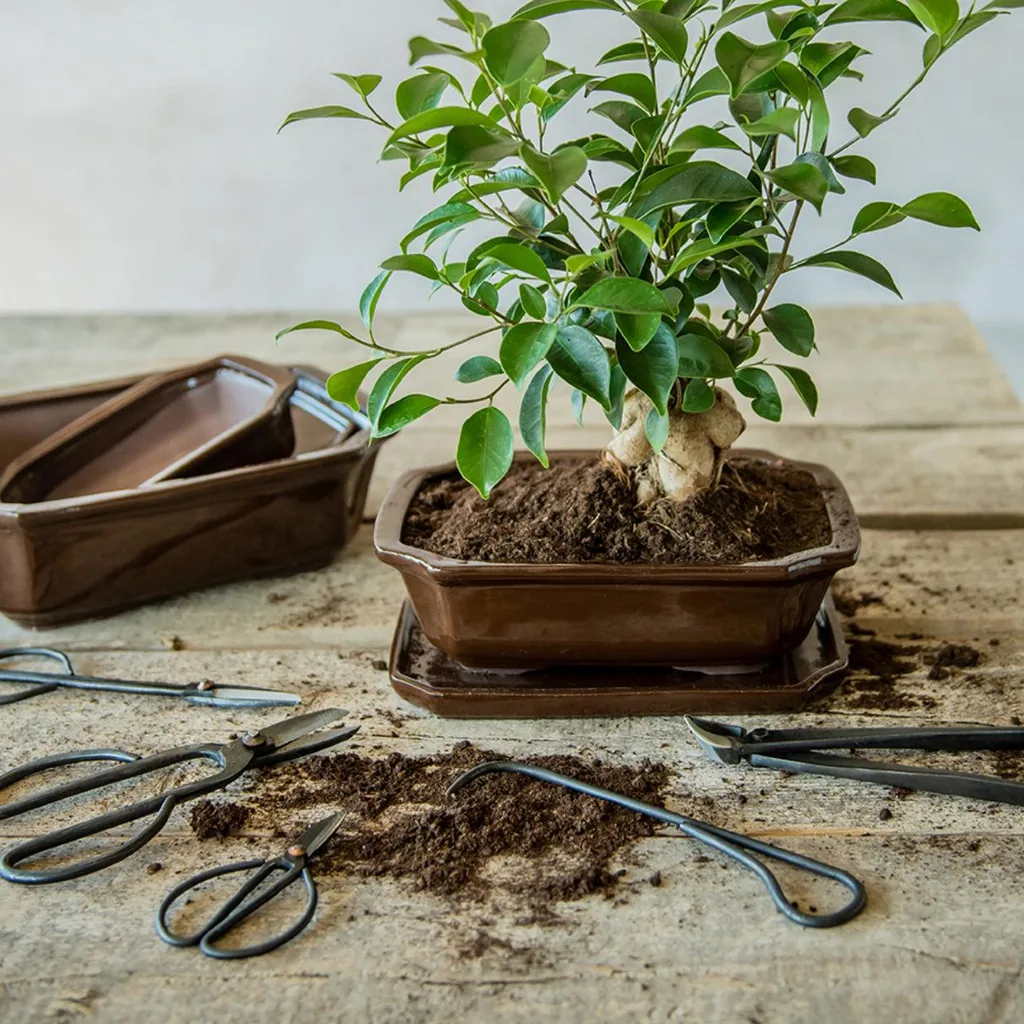 Bonsai-Wurzelhaken - 20,5 cm - Bonsai-Werkzeug
