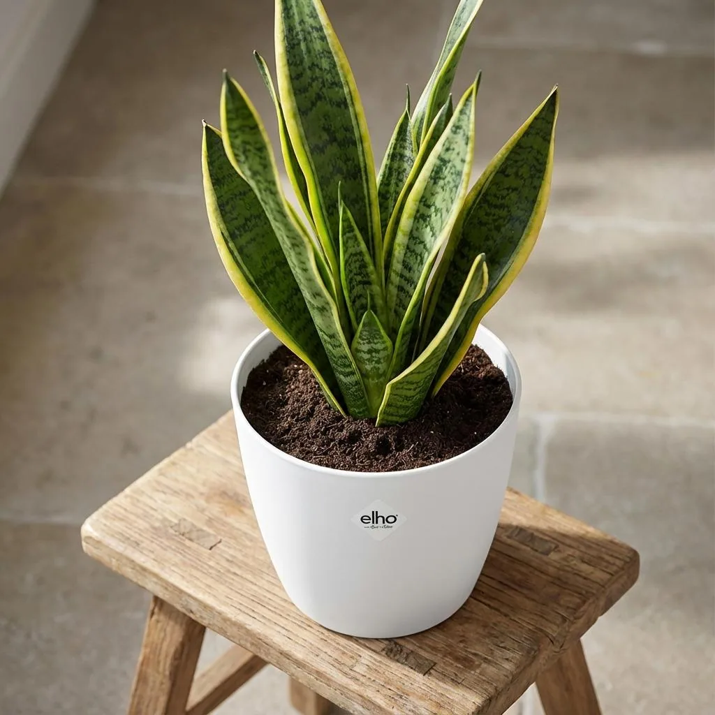 ELHO Brussels rund 25cm weiß