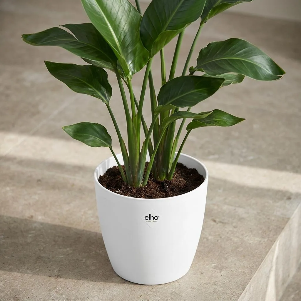 ELHO Brussels rund 25cm weiß