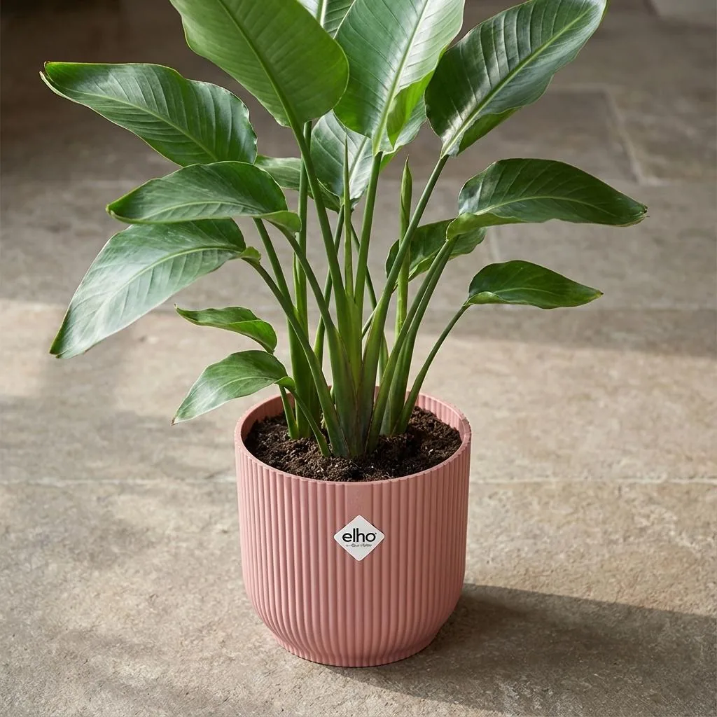 ELHO Vibes Fold 14cm rosa