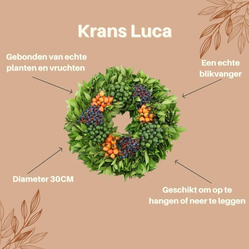 Echter Kranz Luca | Ø 30 cm